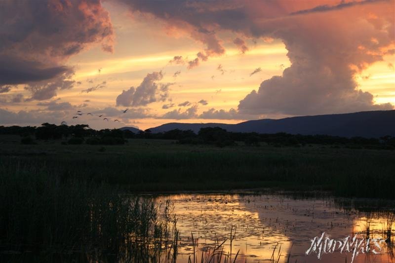 Mud Maps Africa Entabeni 8453